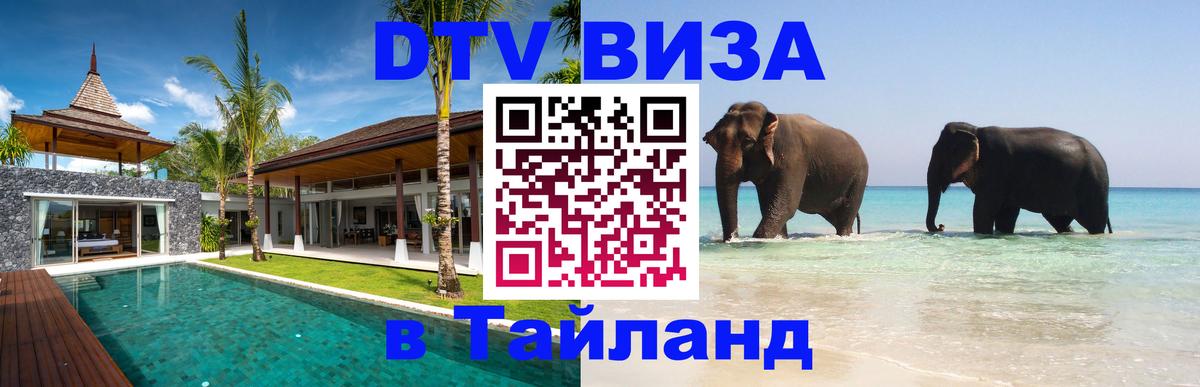 Оформление DTV визы под ключ: стоимость и тарифы, только загранпаспорт - 20.11.2025 